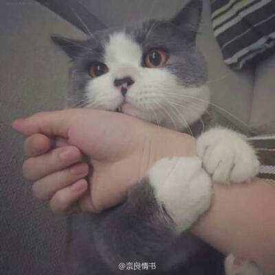 上古传奇官方版下载