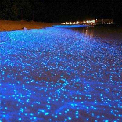 掌上大明星游戏下载